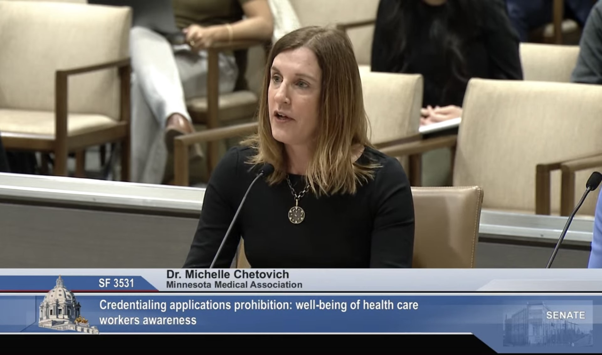 Chestovich Testify.png