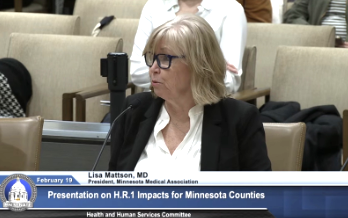 Mattson tesifying Feb 2026.png